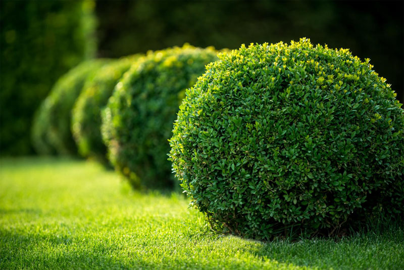 Entretien de jardin Le Faouët