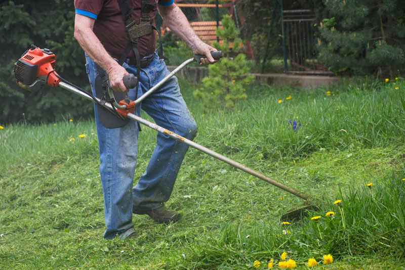 Entretien de jardin Le Faouët
