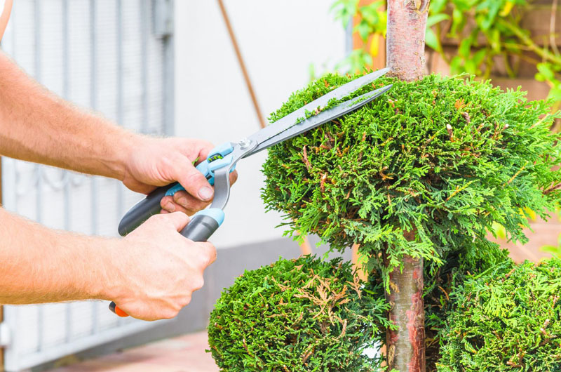 Entretien de jardin Plouay