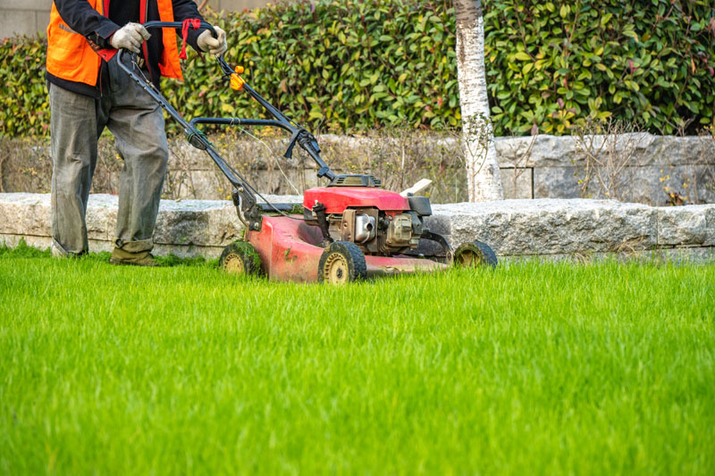 Aménagement de jardin Plouay