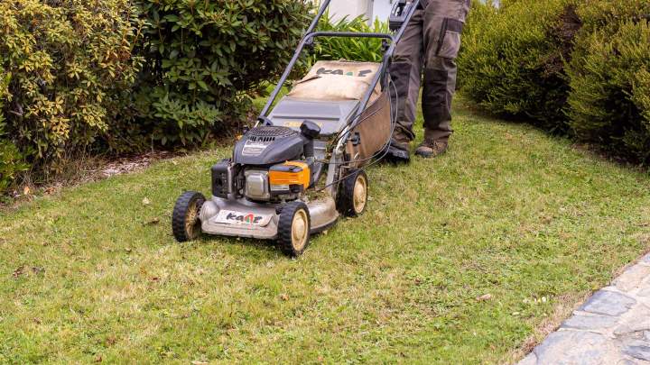 Espace végétal Le Faouët