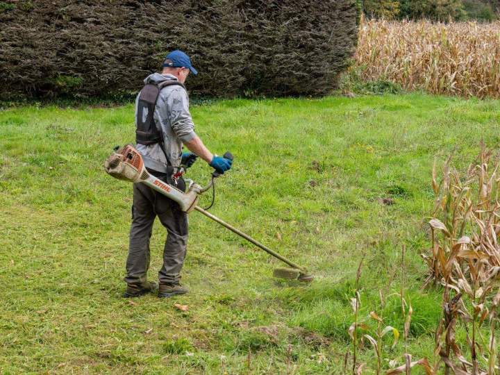 Bénéficiez de notre savoir-faire pour entretenir votre espace vert.