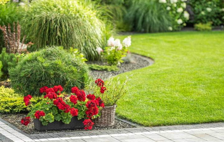 Aménagement de jardin Le Faouët